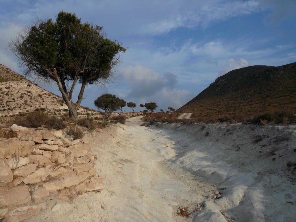 Апартаменты La Posidonia Родалькилар Экстерьер фото